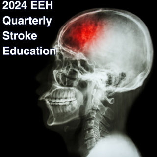 2024 EEH Stroke Quarterly Education - Q1 to Q3 Banner